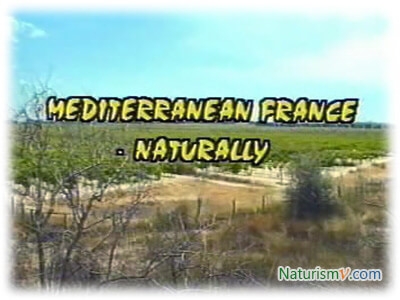 Средиземноморская Франция – Естественно / Mediterranean France – Naturally (Parafotos film. 1997)