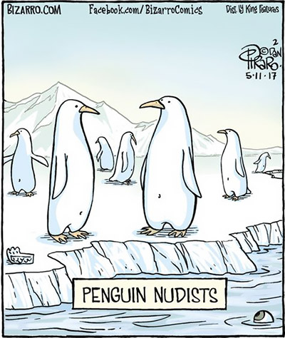 Пингвины нудисты.